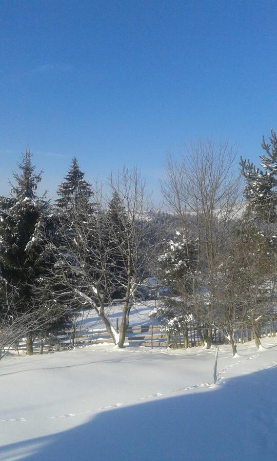 Cottage Palitra Яблоница Экстерьер фото