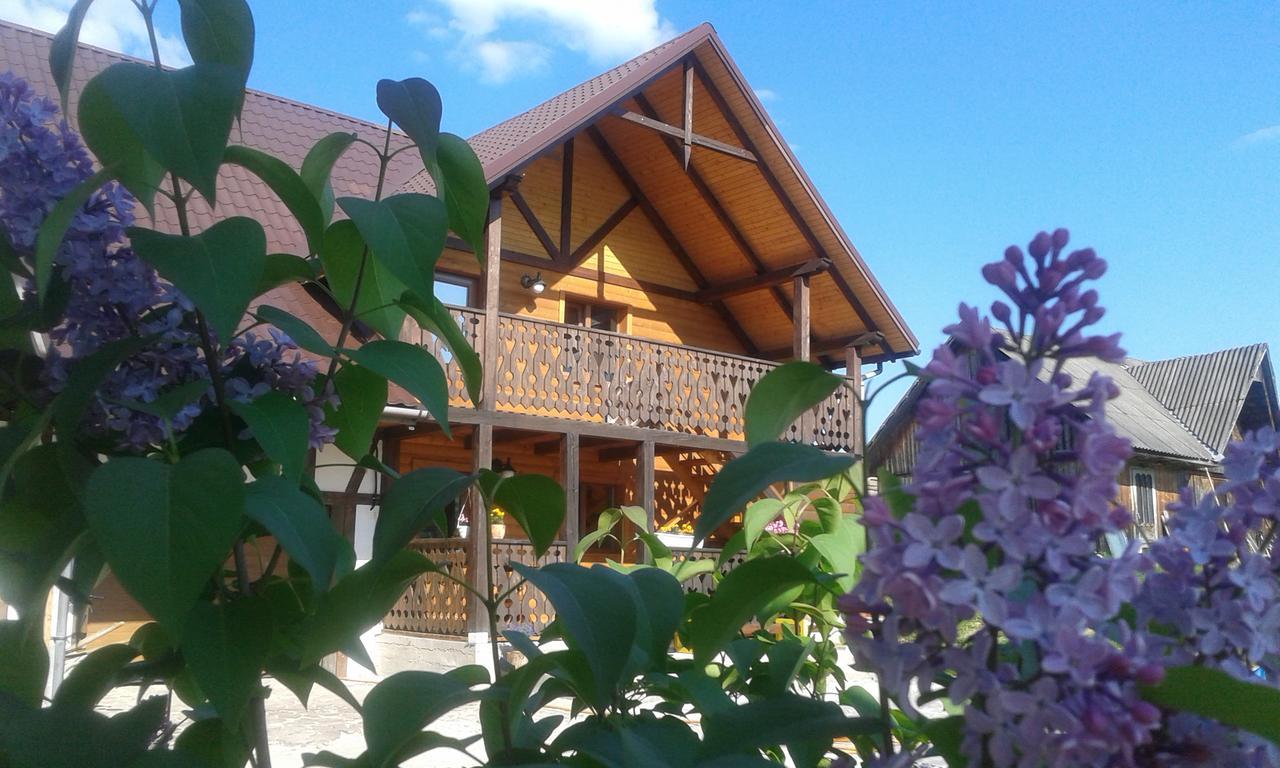Cottage Palitra Яблоница Экстерьер фото